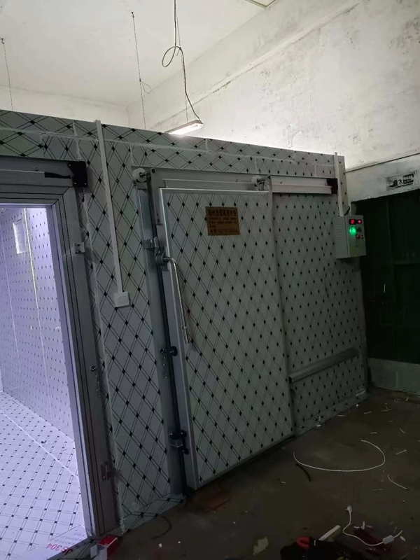 자동 제어 시스템과 함께 생선 및 고기 냉동용 맞춤 냉장고