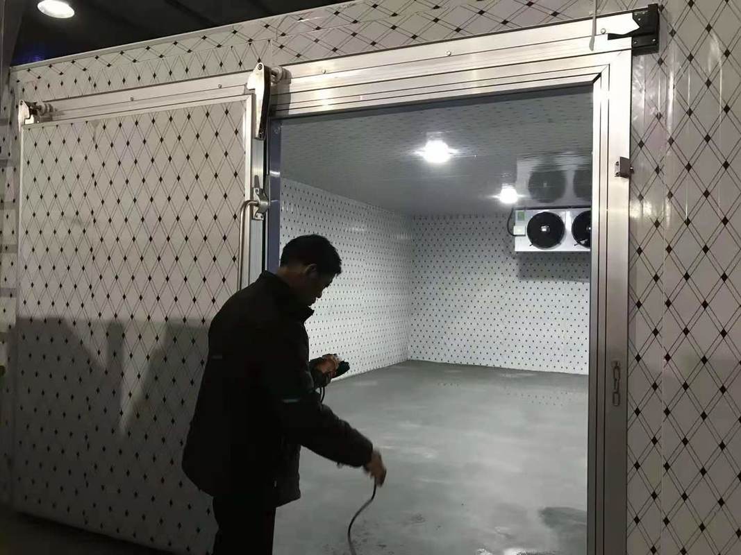 자동 제어 시스템과 함께 생선 및 고기 냉동용 맞춤 냉장고