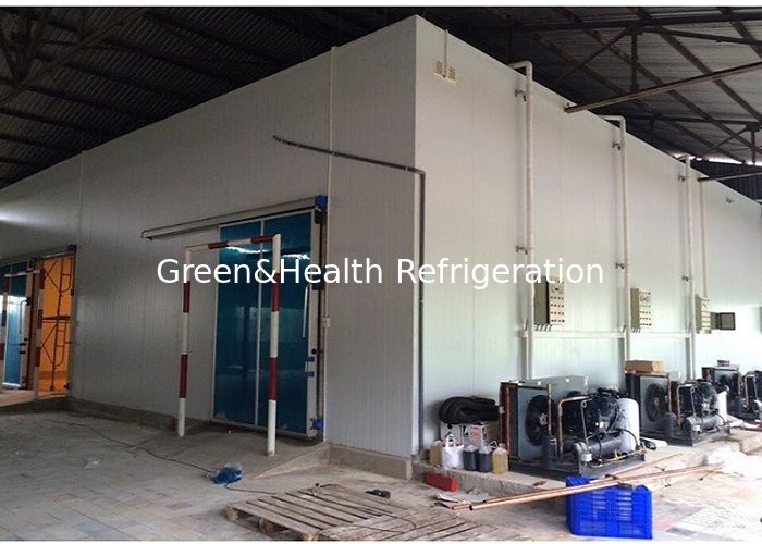 Customizable Size Cold Room Walk In Freezer With PU Panel And Condenser Unit