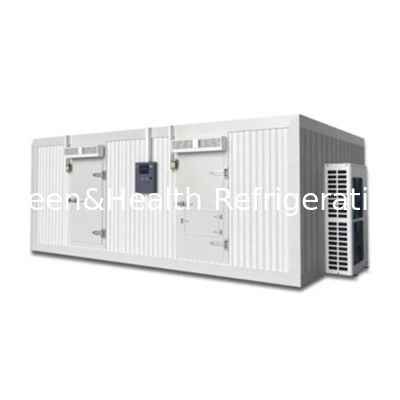 소고기 및 고기 냉장고에 맞춤형 냉장고 방