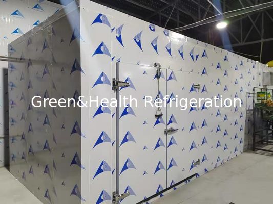 고성능 PU 패널을 가진 에너지 효율적인 냉장실