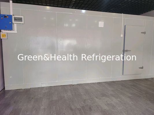 Customizable Size Cold Room Walk In Freezer With PU Panel And Condenser Unit