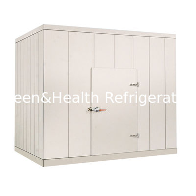 220V / 식물성 고기 해산물을 위한 더 쌀쌀한 방에 있는 380V 상업적인 도보