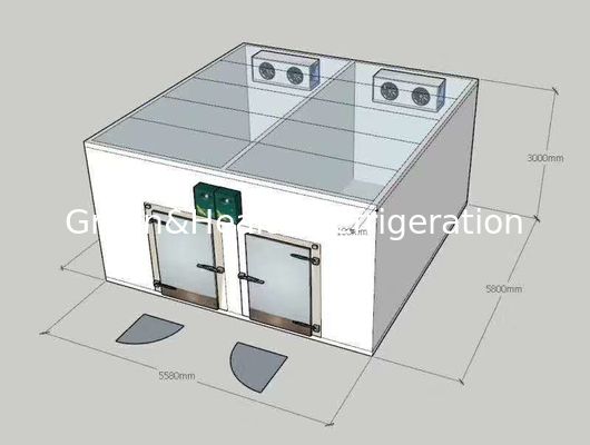 냉동실 이중 온도 콤보 냉각기/냉장실에서 도보